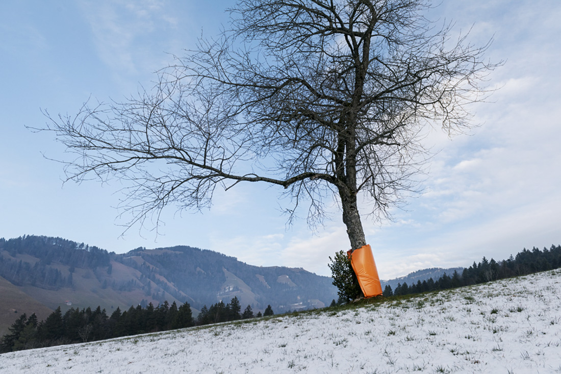 Schneemangel 3 
